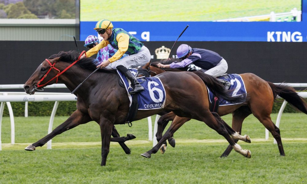 思与进步 思与进步