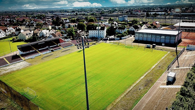 众为之动容 众为之动容